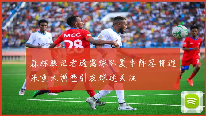 森林狼记者透露球队夏季阵容将迎来重大调整引发球迷关注