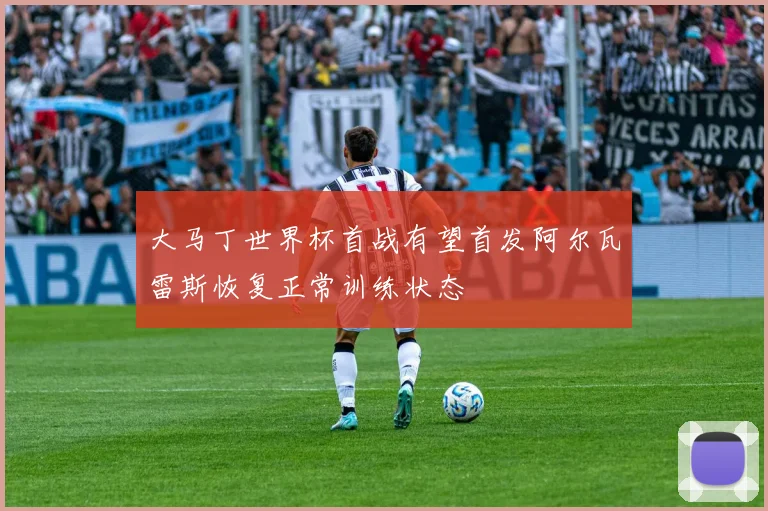 大马丁世界杯首战有望首发阿尔瓦雷斯恢复正常训练状态